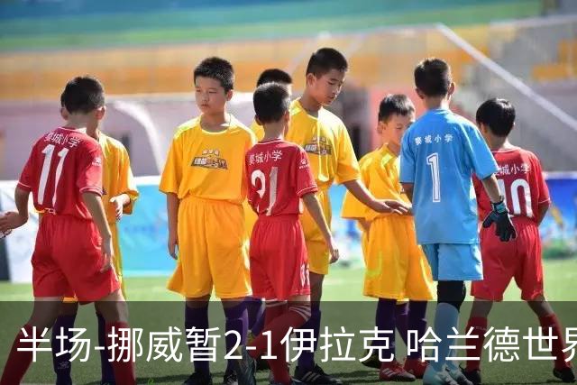 半场-挪威暂2-1伊拉克 哈兰德世界杯首秀梅开二度侯赛因破门