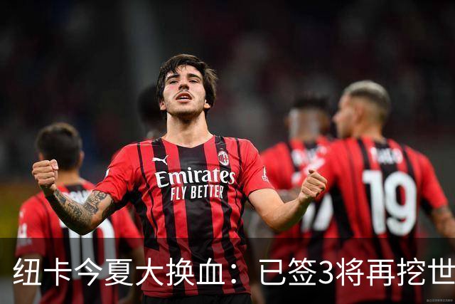 纽卡今夏大换血：已签3将再挖世界杯国脚，托纳利替身浮现
